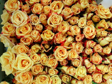 dscn1005